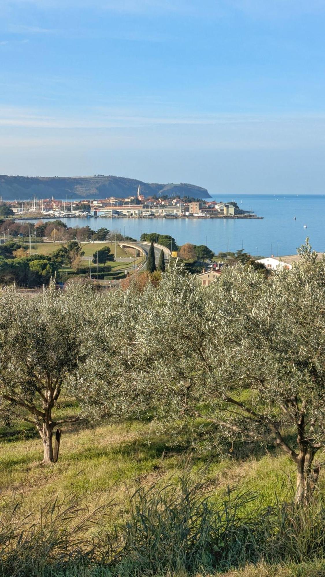 Apartmaji Diversorio Appartement Izola